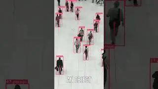 What is Object Tracking|YOLOv9 with DeepSORT Object Tracking 