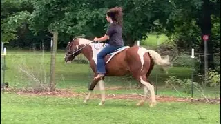 Some clips from todays short ride 🤠 | Elena Angel