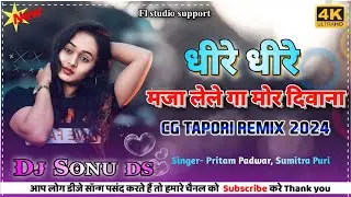 🔥धीरे धीरे मजा लेले गा मोर दिवाना | Mandla Cg Tapori Remix Song 2024 | Pritam Padwar |🔥