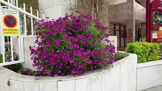 Обзор отеля Guitart Central Park Aqua Resort Лорет Испания2023