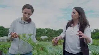 Экскурсии в 