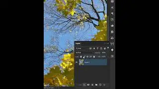Remove Background !  🤯😎 