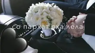 хьо муха виц ва веза дийцахьа 🖤