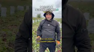 Где-то в Узбекистане, часть 5