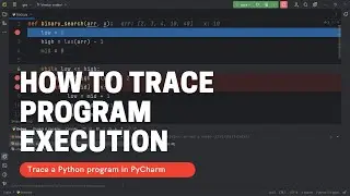 How to trace program execution? Tracing a Python program execution in PyCharm.