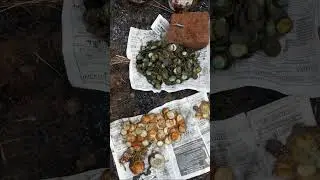 В тот день уже никто не ожидал что то найти... 