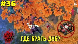 Где взять дуб новичку 📱 Прохождение с нуля #36 ► Last Day on Earth: Survival