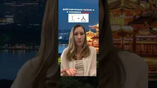 3 причины -изучать китайский язык 🇨🇳 #китай #китайский