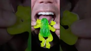 ASMR | Gummy Frog 🐸 