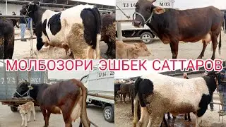 Н ДУСТИ МОЛБОЗОРИ ЭШБЕК САТТАРОВ БЕХТАРИН НАВОР ШУД 10.11.2024.г