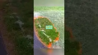 ОГОНЬ И ТОПОЛИНЫЙ ПУХ 🔥😱 (что будет) ✨ 