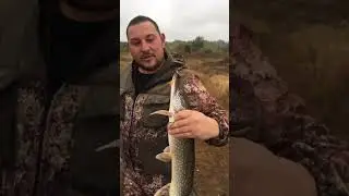 Омутищи р. Клязьма 14.09.22