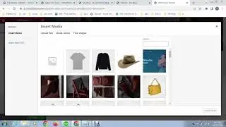 How To Add Border Around The Text In Elementor | Elementor Border Tutorial