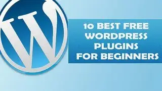 10 Best Free WordPress Plugins for Beginners  2019