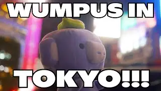 Wumpus Goes to TOKYO 🇯🇵!!