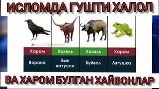 ИСЛОМДА ГУШТИ ХАЛОЛ ВА ХАРОМ БУЛГАН ХАЙВОНЛАРНИ БИЛАСИЗМИ КУРИНГ