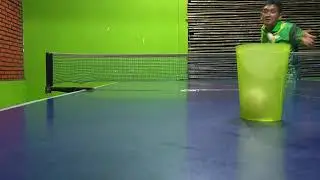 Tenis meja