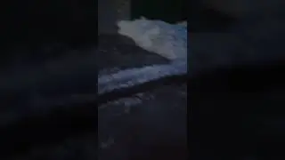 Жители Поливановки: 