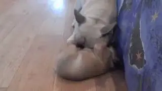 Французские игры