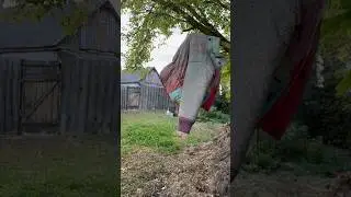 Приехала в глухую деревню, а тут… 