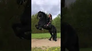 Learn to be brave