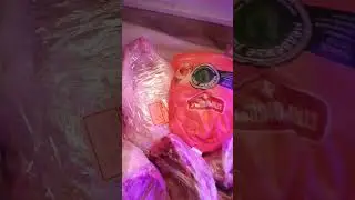 зачем мне столько мяса?!ларь на 450 литров! 