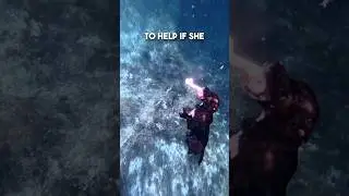 This dog is a professional free diver 🤯