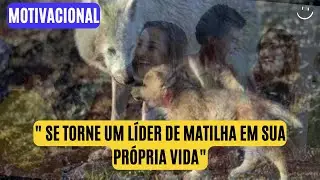 Aprenda com os lobos a força da união familiar.
