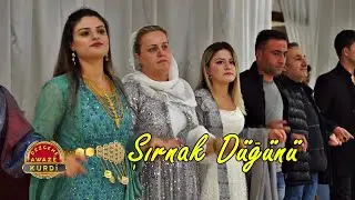 Koma Özgün - Şırnak Düğünü | Birlik Ailesinin Düğünü [ Kurdish Wedding Dance]