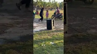 Dog intercepts prize duck during chase in Bali