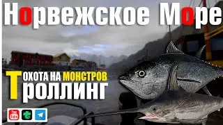 Троллинг • Охота на морских монстров • Русская Рыбалка 4 • Норвежское Море