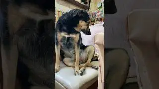 Люсе не дали шоколадку🤦‍♀️ Обида вечная🙈 