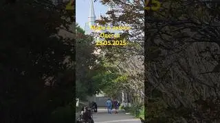 Море и замки.Одесса 23.05.2025 