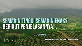 PENGARUH ELEVASI ATAU ALTITUDE PADA  CITA RASA KOPI - Semakin tinggi semakin apa?