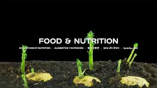 5/11 Food & Nutrition (iGEM 2023 Grand Jamboree)