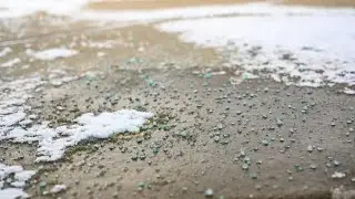 The Reason You Should Never Spread Rock Salt on Concrete Driveways