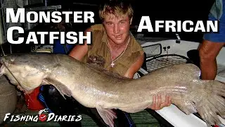 Monster African Catfish - Monster fish of Africa {Full DVD film}