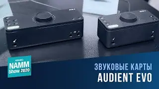 Audient EVO 4 и EVO 8 | NAMM 2020