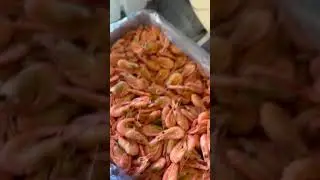 Креветка северная 250+.                    Цена 1690₽ за коробку 5 кг