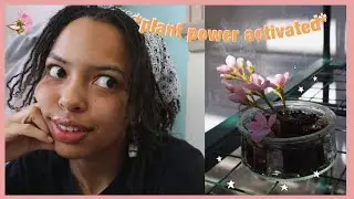 Plant with me | Corona diaries