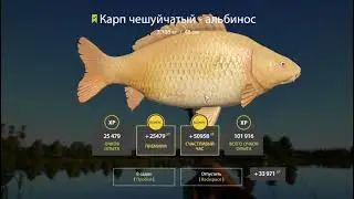 РР4 Фарм Янтарное озеро 400 монет в час