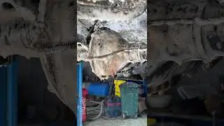 Первая мойка днища 60ти летней Волги😱