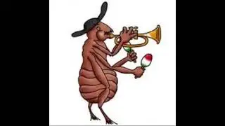 spanish flea