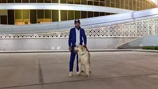 Ашхабад район Ак Алтын!