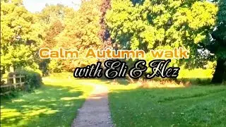 Mom's Autumn Walk: A Beautiful Journey Through Nature | Park