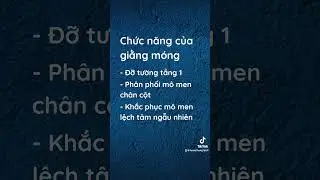Giằng móng bố trí ở cốt đài móng hay cốt nền ? Khác nhau thế nào ? #ketcau
