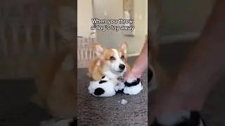 Humans are heartless