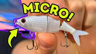 INSANE MICRO Swimbaits You HAVE TO TRY!