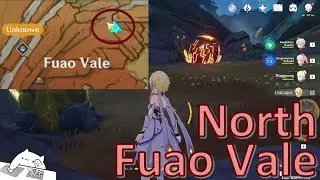 Unique Stone Puzzle Walkthrough At North of Fuao Vale