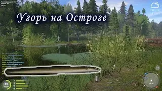 Угорь на оз. Старый Острог